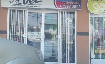 CESAR PORTILLO ESPINOZA