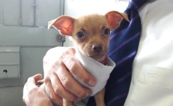 Exotic Veterinary Center