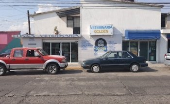 VETERINARIA GOLDEN