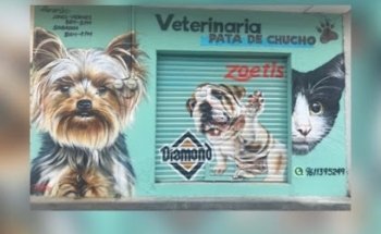 Veterinaria “Pata de chucho”