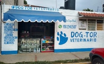 Dog-Tor Veterinario