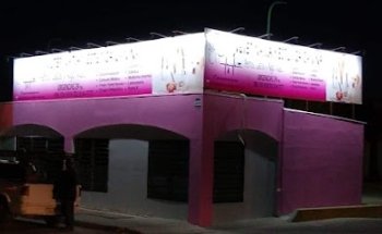 Perros gatos y algo mas