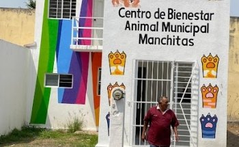 Centro de Bienestar Animal Municipal 