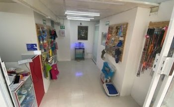 Veterinaria y Estetica Canina profesional PetLove cdmx