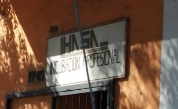 IHASA Incubación Profesional