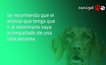 Hospital Veterinario Belén