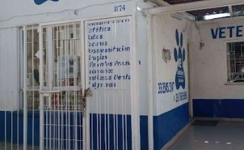 Vet Santa Ana Salud Animal