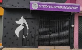 Clínica Veterinaria Coco Pach