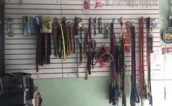 Clinica veterinaria “Iris”