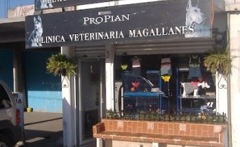 Clínica Veterinaria MAGALLANES
