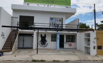 Veterinaria 