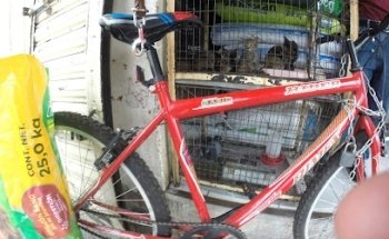 Servicio Medico Veterinario Y Estetica Canina