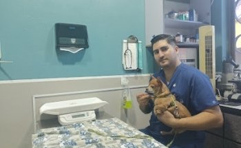 CRUZ-VET Animal Clinic