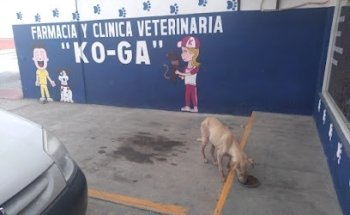 Veterinaria 