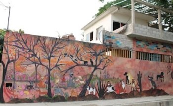 La Mascota Callejera Huatulco