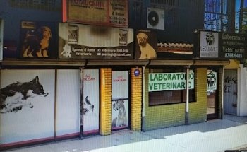 Veterinaria Iguanas & Ranas