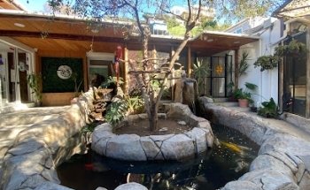 Profauna Hospital Veterinario 24 Horas