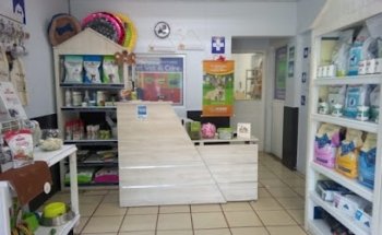 VEKOO Consultorio Veterinario