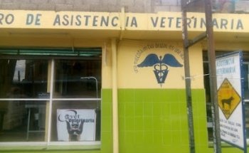 Centro De Asistencia Veterinaria
