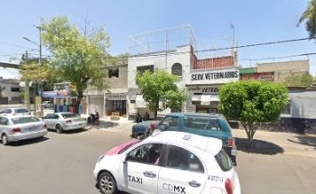 Servicios Veterinarios