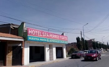 Hotel Spa Perros Y Gatos
