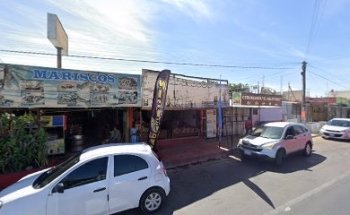 Vet Cristina Fuented