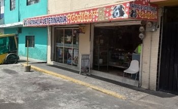 VETERINARIA Gavilán
