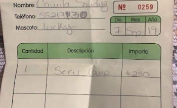 Estetica Canina Pet It