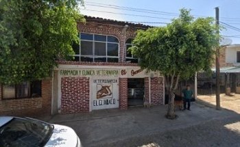 Veterinaria 
