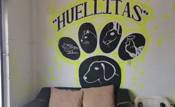 Huellitas Veterinaria