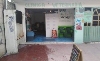 Veterinaria Nahui Nik Niu