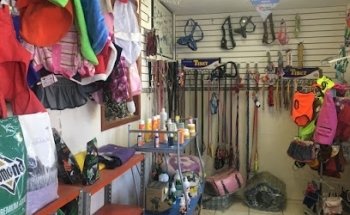 Hospital Veterinario