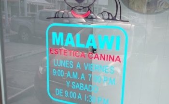 Malawi Estetica canina