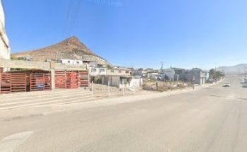 Servicio Medico Veterinario