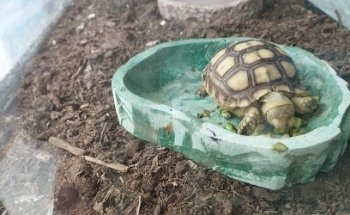 Veterinaria y Acuario Frimark