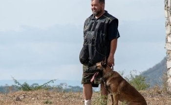 Caskan estética hotel y adiestramiento canino