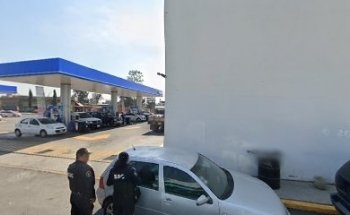 Veterinaria Terranova