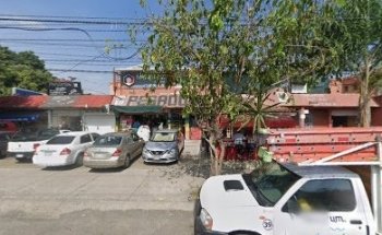 Consultorio Veterinario