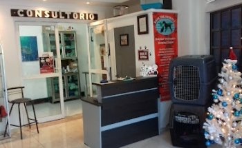 Veterinaria Save the Animals