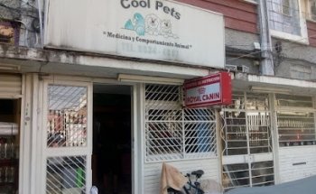 Cool Pets Veterinario