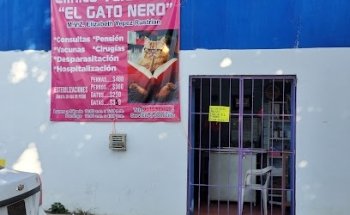 Veterinaria El Gato Nerd