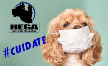 Hospital Veterinario HEGA