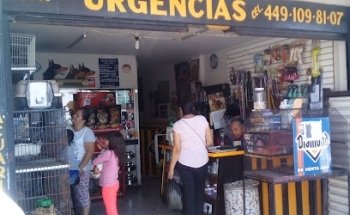 Clinica veterinaria Jeijer