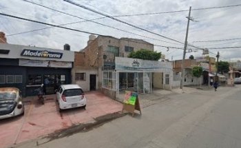 Veterinaria Animalex