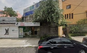 Venta de Gelipet en veterinaria