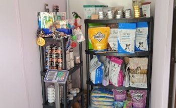 Clínica Veterinaria Óptimo Pet Can Ajusco