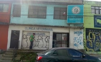 Servicio Veterinario Estética Canina