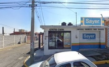 ESTETICA CANINA Álvarez