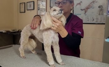 Veterinaria San Roque