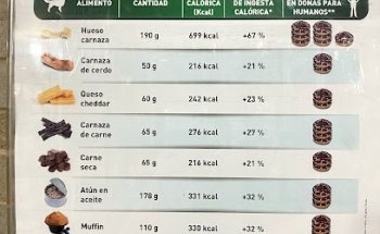 Hospital Central Veterinario